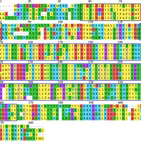 Multiple Sequence Alignments Of Legume WD40 YVTN Proteins And