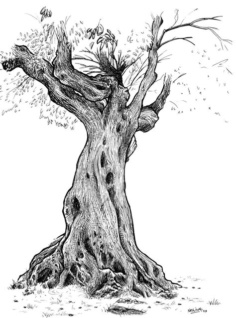 Michel Hubert Hypothèse de craie Dessin d arbre Dessin arbre