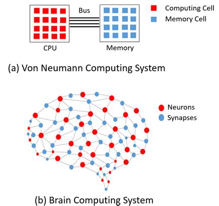 Brain Functions As A Cpu System Justify Vtu Updates