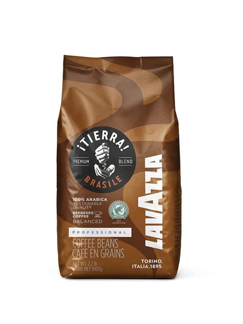 Best Brazilian Coffee Beans You Must Try In 2023