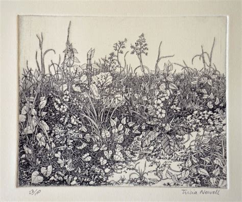 Detailed Intaglio Limited Edition Etching Spring Etsy