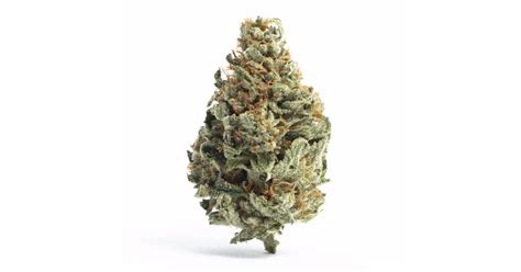 Tropical Runtz aka Tropical Runts Weed Strain Information | Leafly