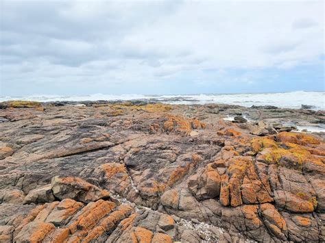 Rocas Recubiertas De Algas Naranjas A Orillas Del Mar Sobre Una