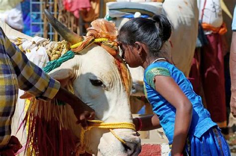 Cow Hug Day केंद्रीय मंत्री बोले 14 फरवरी को मनाया जाए काउ हग डे