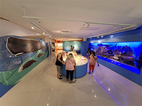 Mindanao - The National Museum of the Philippines Davao reopens its