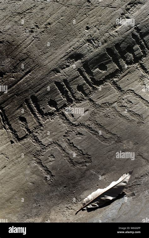 Ancient Rock Engraving In Camonica Valley Naquane National Park