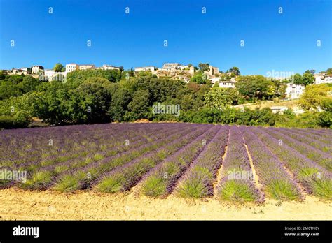 France Vaucluse Parc naturel régional du Luberon Ménerbes