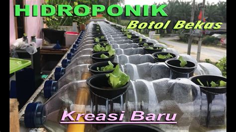 24+ Kreasi Hidroponik Botol Bekas