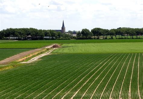 Photo gratuite: Pays Bas, Paysage, Champs, Cultures - Image gratuite ...