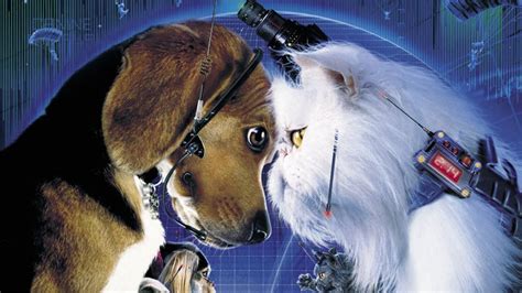 Cats And Dogs Review Movie Empire