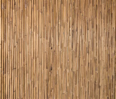 62 000 Bamboo Texture Photos Taleaux Et Images Libre De Droits Istock