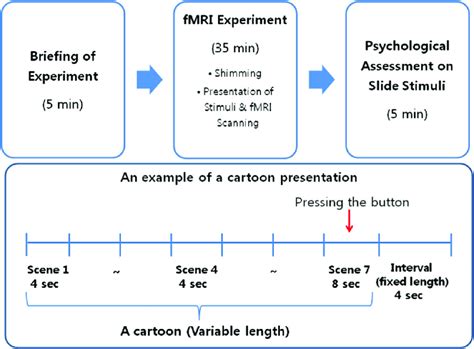 Experimental design. Total experiment time was 45 min, including... | Download Scientific Diagram