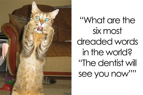 147 Dental Jokes That Will Make You Grin Bored Panda