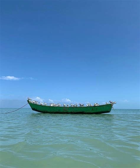 Visite Prado Bahia No Instagram Toda A Beleza Desse Lugar Passando