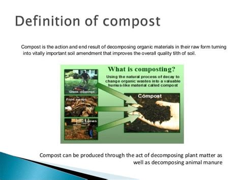 Compost Science Behind It And The How And Why Of Doing It