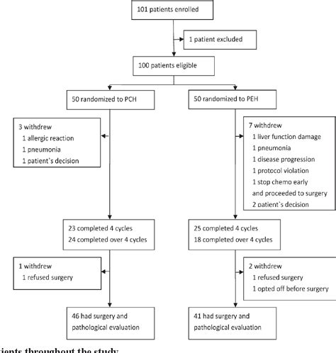 Figure 1 From Efficacy And Safety Analysis Of Trastuzumab And