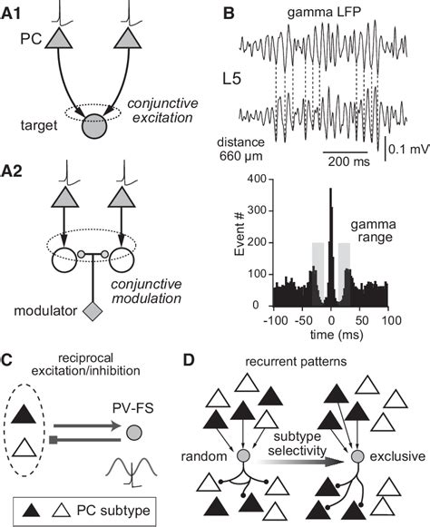 Figure 1 From Control Of Excitatory Hierarchical Circuits By