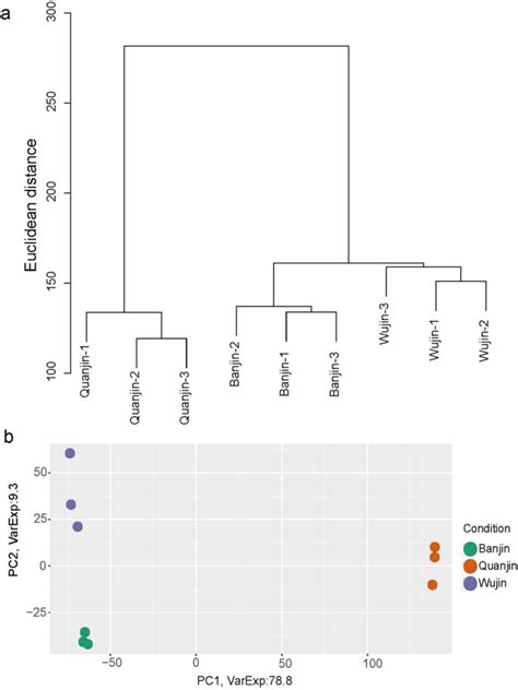 Comparative Transcriptome Analysis Reveals Relationship Of Three Major