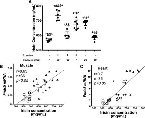 Measurement Of Plasma Irisin And Correlation Analysis Of Irisin