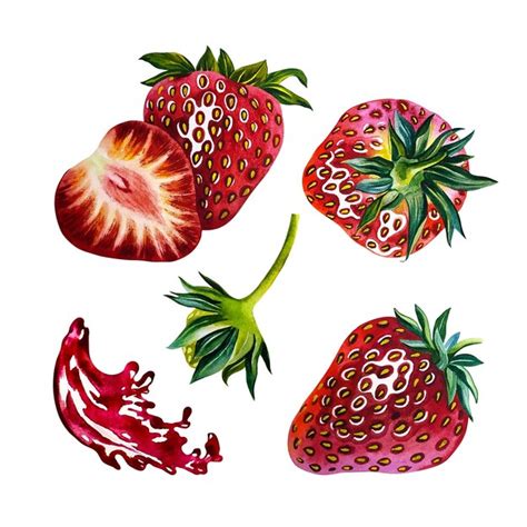 Conjunto De Fresas Ilustraci N De Acuarela Foto Premium