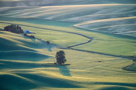 Beautiful Aerial View of the Palouse Region of Eastern Washington State ...