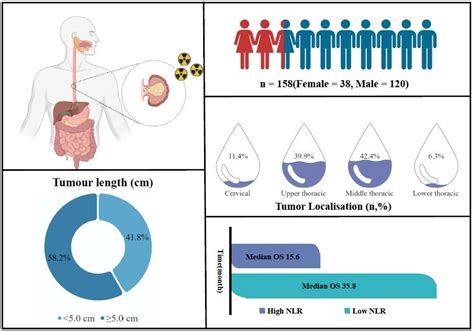 Cancer Management And Research Volume Dove Press Open Access