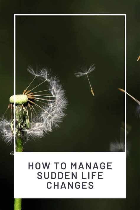 manage sudden life    declaire