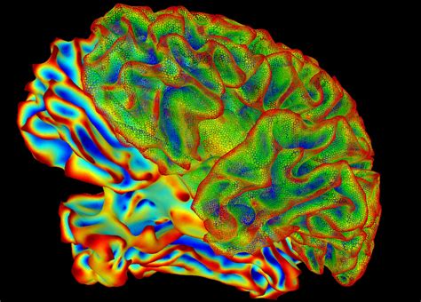 The Brain's Secrets | MIT for a Better World