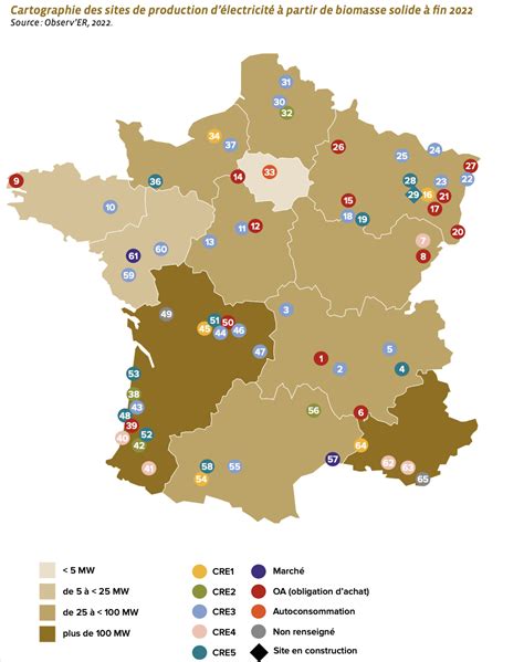 Tout Ce Que Vous Devez Savoir Sur La Biomasse Qui Est Vert