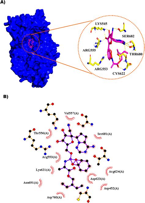 Representations Of Protein Ligand Complexes From Molecular Docking A