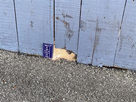 Best Hidden Images On Pholder Fairytaleas Fuck IRL Easter Eggs And Earth Porn