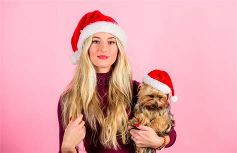 Reasons To Love Christmas With Pets Ways To Have Merry Christmas With