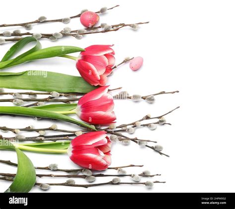 Easter Eggs Tulip Flowers And Pussy Willow Branches On White
