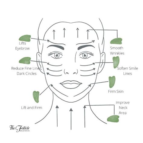 Face Routine With Gua Sha At Stephanie Draper Blog