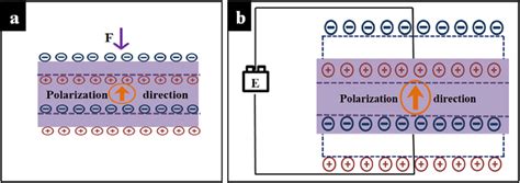 Principle Diagram Of Piezoelectric Effect A Positive Piezoelectric