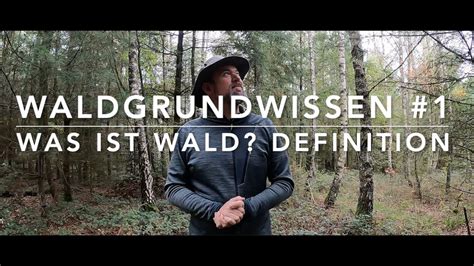 Was Ist Wald Waldgrundwissen Youtube