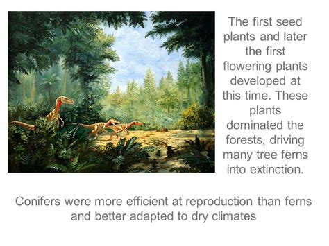 Origins And Extinctions Chapter 17 Ppt Download