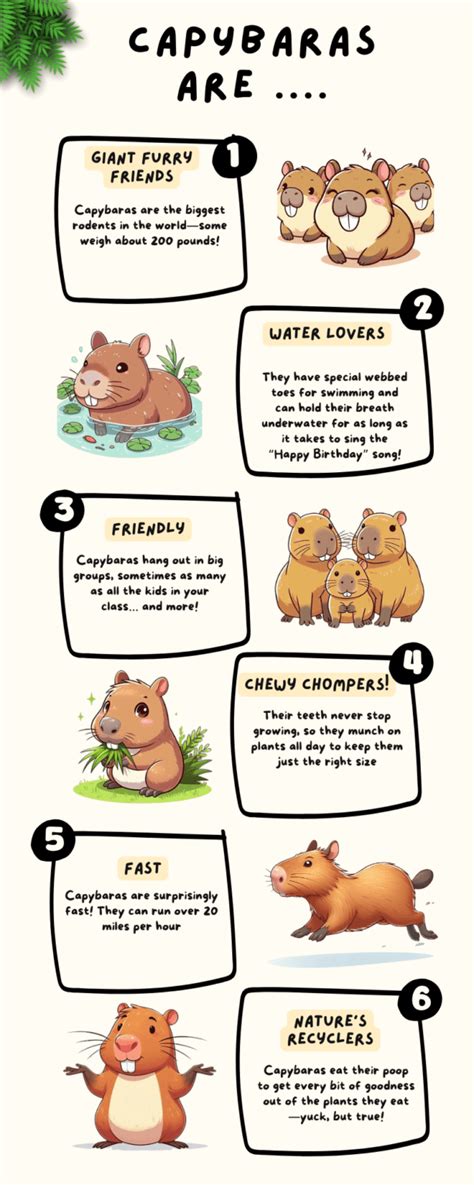 WHAT DO CAPYBARAS EAT? - CAPYBARAS.NET