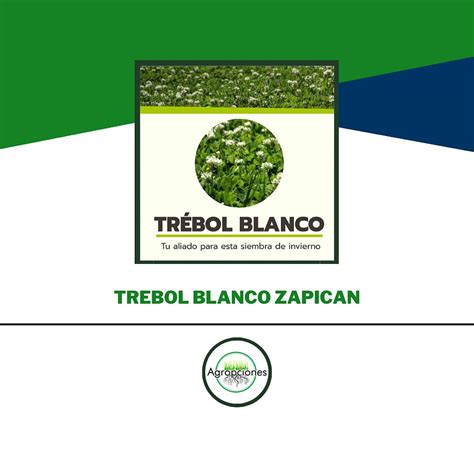 Semilla De Trebol Blanco Zapican Agroads