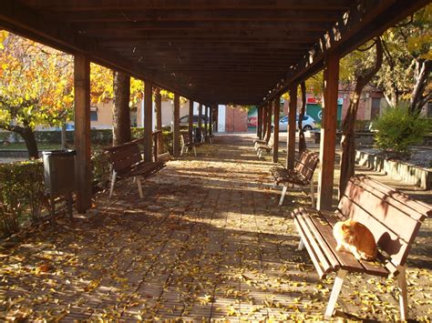 SOM DE PÍCNIC Àrea de pícnic del Parc Marcellí Monrós Navarcles Bages