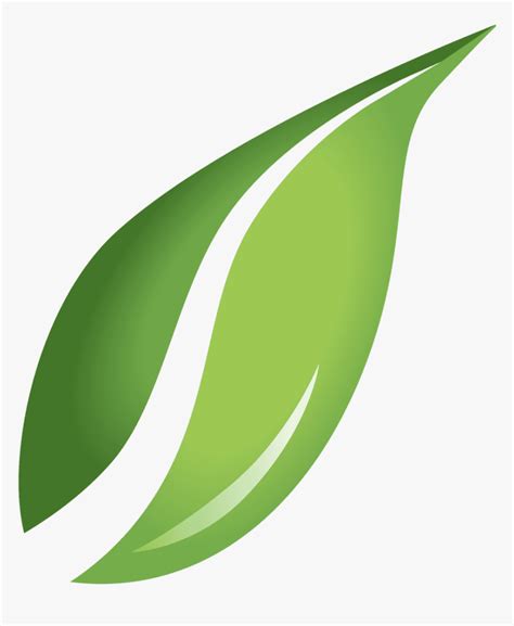 Transparent Green Leaf Png Leaf Vector Transparent Background Png