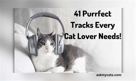 41 Cat-Themed Songs to Add to Your Playlist