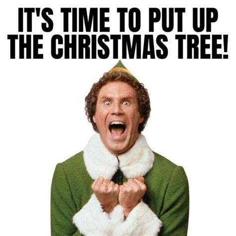 25 Funny Christmas Tree Memes For Sharing