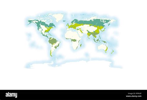 World Map Showing Regions Where Different Types Of Forests Are Found