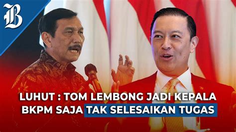 Panas Luhut Sentil Thomas Lembong Soal Nikel Dan Pembisik Jokowi Youtube