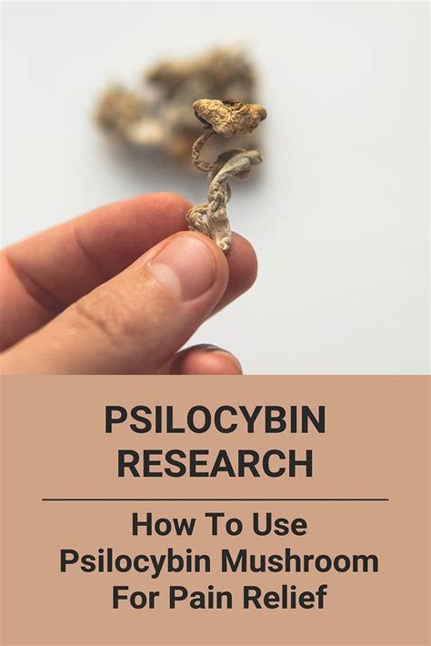 Buy Psilocybin Research How To Use Psilocybin Mushroom For Pain