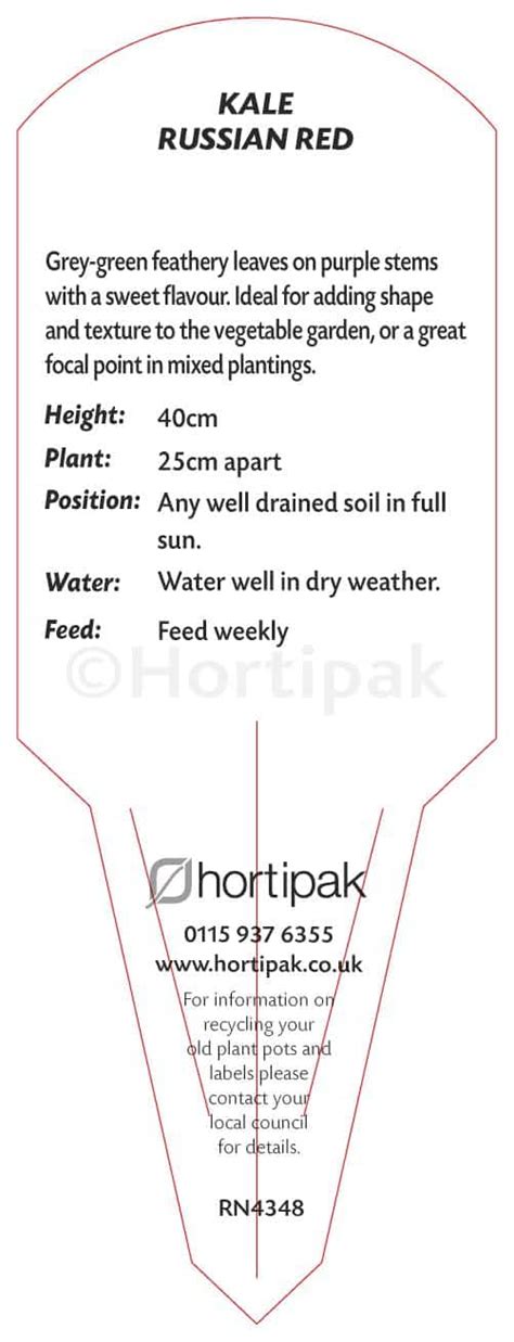 Kale Red Russian Hortipak E Store