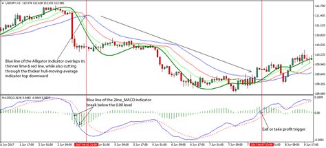 Alligator Forex Trading Strategy