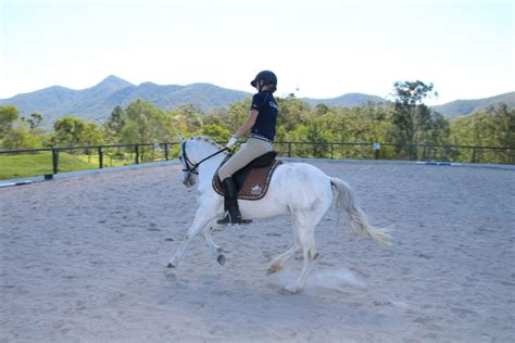 Horse Riding Lessons Brisbane Trevena Glen Farm