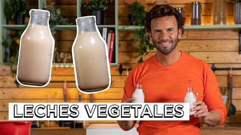 Leches Vegetales Caseras Recetas F Ciles De Leches Alternativas